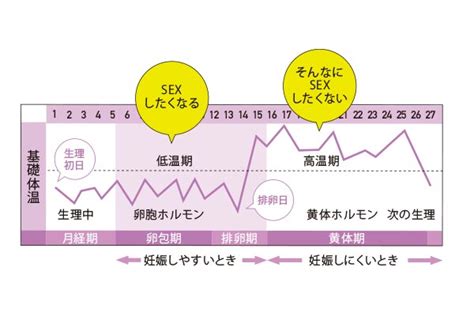 生理 終わりかけ 性欲|女性の性欲の流れを徹底解説【生理中・排卵日・妊娠。